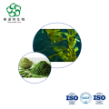 Bulk Seaweed Extract Rich in Fucoidan and Polysaccharides for Agriculture and Immune Health