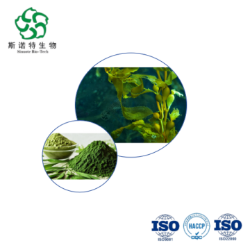 Bulk Seaweed Extract Rich in Fucoidan and Polysaccharides for Agriculture and Immune Health
