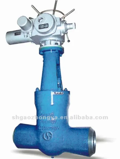 "Class 600" WCB globe valve for chemical industry