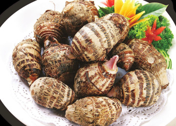 2014 China Taro