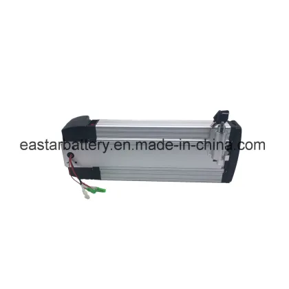 Electric Bike 48V 20ah Lithium Battery