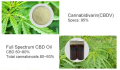 Polvo de aislamiento de CBD natural 100% puro Polvo CBD