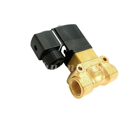 Solenoid Valve for Boge Compressor 1-14Bar 60Hz 220V 1/2