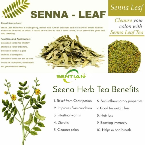 Natural Sennosides Powder Senna Leaf Extract