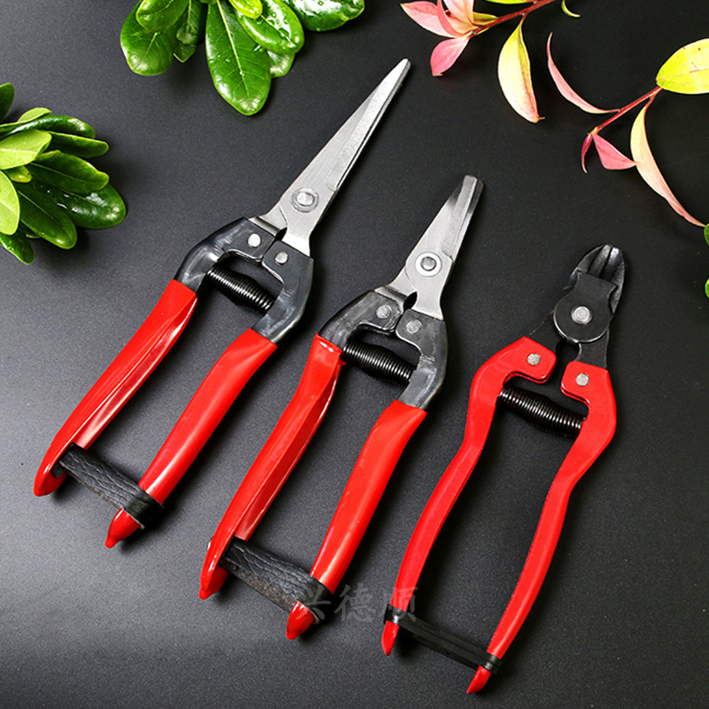 Professional fruit picking scissors grape harvesting grafting scissors garden manual pruning shears