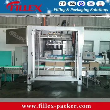 Carton /Case/Box Packaging Machine/ Carton Packer