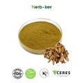 Bulk Arctium Lappa Burdock Root Extract arctiin Powder