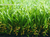 upright+twisted artifical turf for landscape
