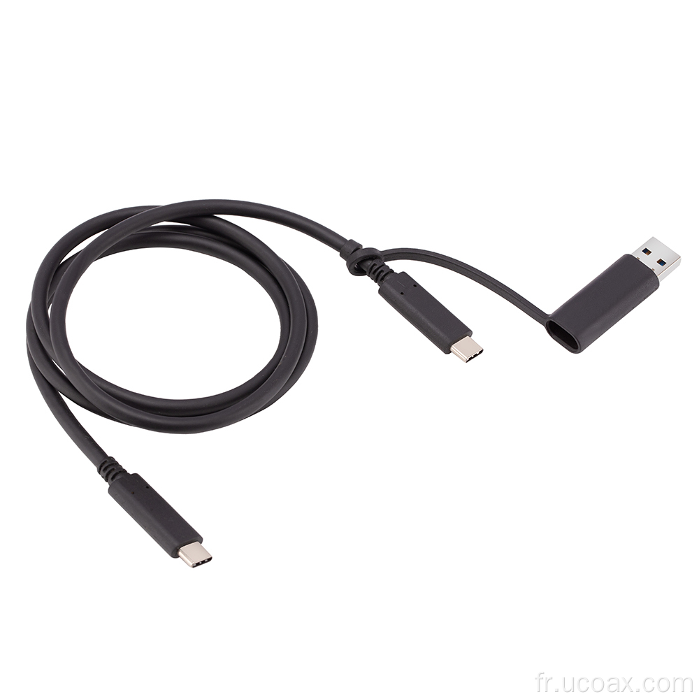 OEM USB C pour taper un câble de convertisseur