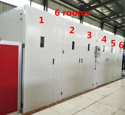 Microcomputer Automatic Egg Incubator