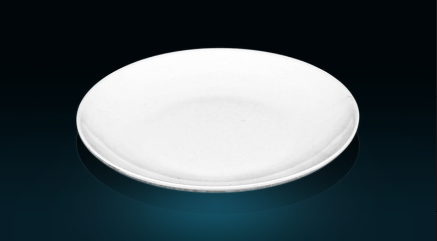 12 Inch Melamine Round Shallow Plate