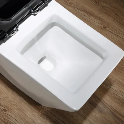 Black One-Piece Ceramic Bathroom Toilet with White P-trap/S-trap
