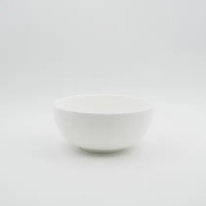 Fresh style embossed dinnerware set new bone tableware set