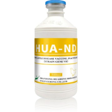 Vaccin contre la maladie de Newcastle, inactivé (souche Gene VII)