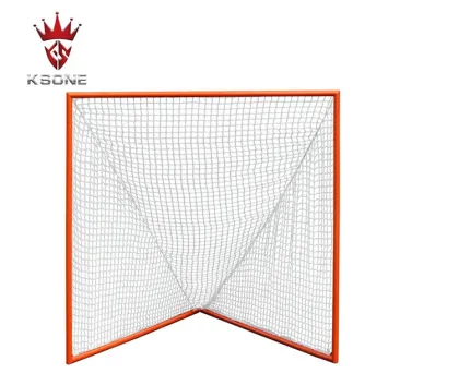 Backyard Lacrosse Goal (