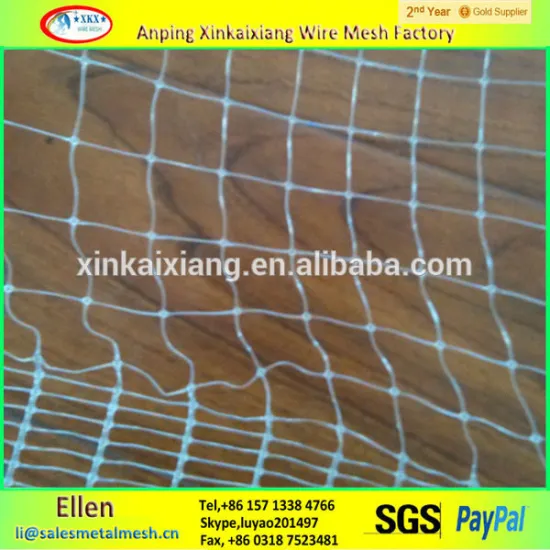 Cheap Stretch forming anti bird netting/protecting grape anti bird net