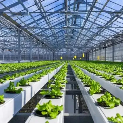 Multi-span PC Board Plastic Greenhouse