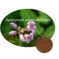 Buy online active ingredients Apocynum venetum Exract powder