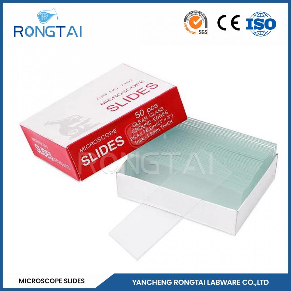 Prepared Microscope Slide 7101