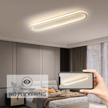 Modern Design LED Ceiling Light - Indoor Round Long Oval Surface Mount Panel Light