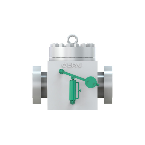 Swing check valve