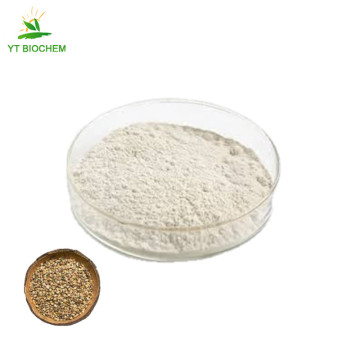 Hemp seed protein hemp protein powder hemp protein