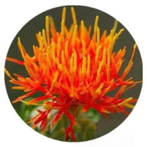 Natural Safflower Extract for Hydrating Lotions and Creams