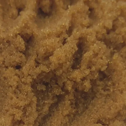 Food Grade Resin for Organic Anion Adsorption