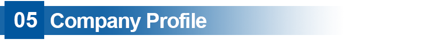 COMPANY PROFILE 6