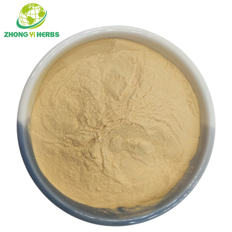 Organic Cantaloupe Fruit Powder