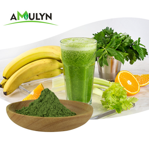 Green Wheat Barley Grass juice extract powder