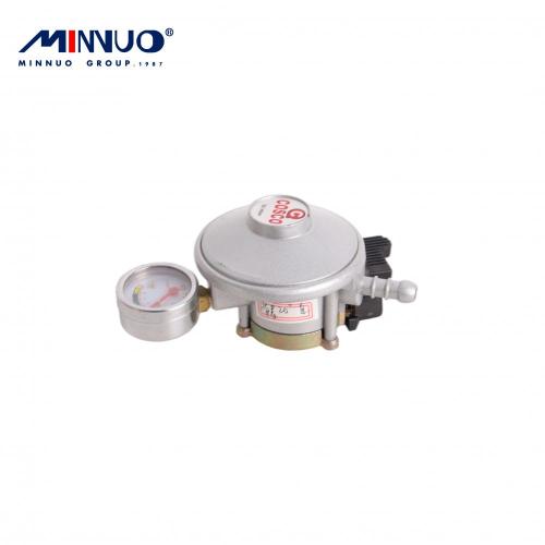 Wholesale South Africa Camping Lpg Regulator