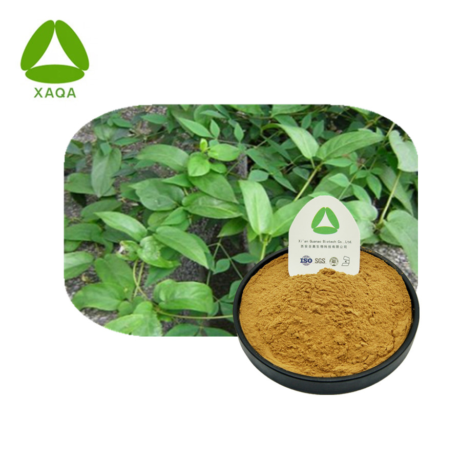Rattan Herb Extract Powder Pure Natural