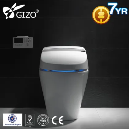 Smart bidet toilet, automatic flush sensor toilet