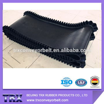 Endless conveyor belt with sidewall