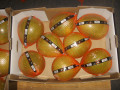 pomelo frais de fujian avec boîte ouverte