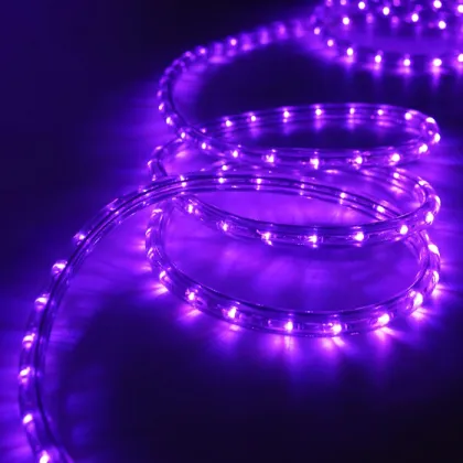 2 Wire Round hope lamp OEM