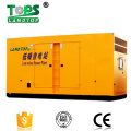 Global Warranty Silent Diesel Generator Price with ATS