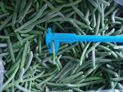 Healthy Export Green Beans
