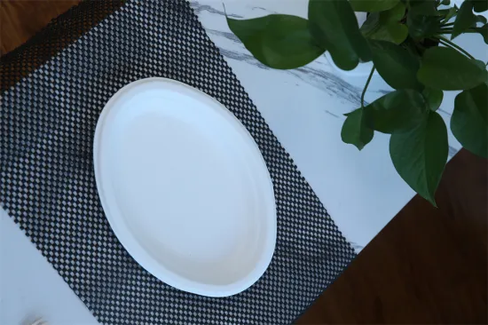 Disposable Paper Plate for Picnic