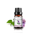 100% Pure Natural Clove Essential Oil for Aromatherapy