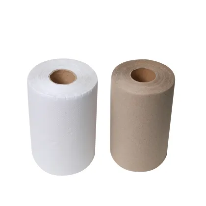 Brawny Paper Towels and Dispensers for Business