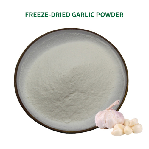 Freeze Dried Vegetable Garlic Powder Freeze Dried Garlic Powder Source Manufacturers Factory