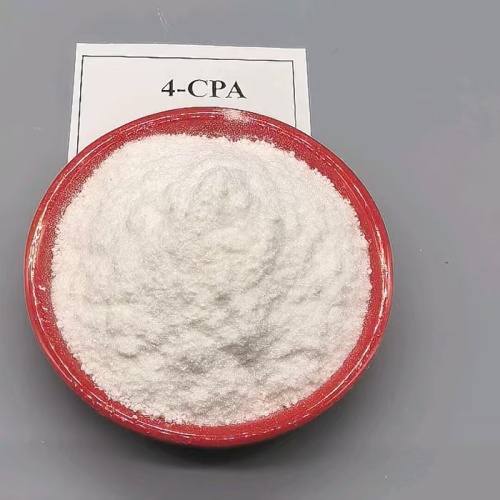 การใช้ 4-CPA-Na ในบราซิลเป็นสารควบคุมการเจริญเติบโตของพืช