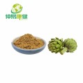 Artichoke Leaf Extract Artichoke Acid