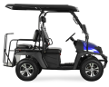 4 Seater Electric Golf Cart UTV