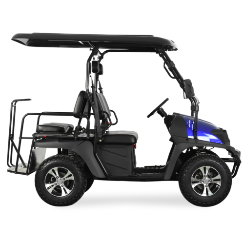 Cart de golf eléctrico de 4 plazas UTV