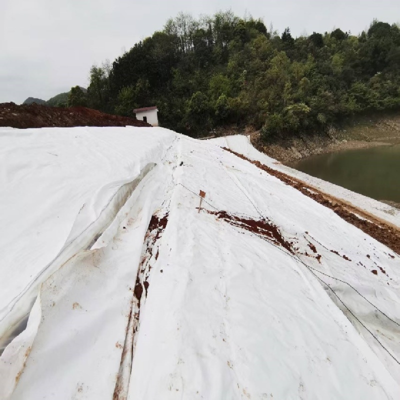 Durable Composite Geomembrane Solutions for Real Estate Use