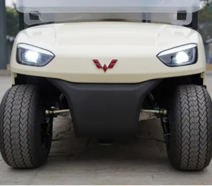 6 Seater Electric Sightseeing Bus - Antique Vintage Electric Sightseeing Car