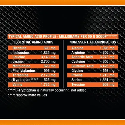 Body Building Whey Protein Powder